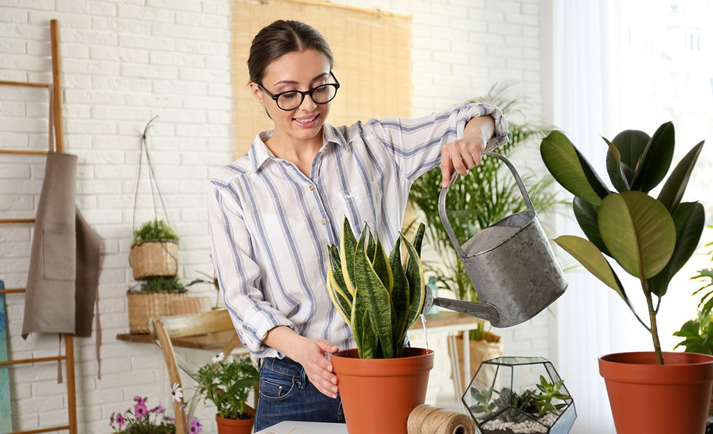 plants relieving stress